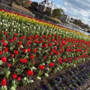 ヒメ日記 2026/02/05 19:42 投稿 深越あいり 彩タマンサ（埼玉ハレ系）