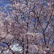 ヒメ日記 2026/03/29 08:28 投稿 深越あいり 彩タマンサ（埼玉ハレ系）