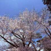 ヒメ日記 2026/04/06 07:38 投稿 深越あいり 彩タマンサ（埼玉ハレ系）