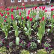 深越あいり ロングタイム😏 彩タマンサ（埼玉ハレ系）