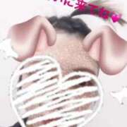 ヒメ日記 2025/03/11 12:24 投稿 とも（極上SPコース対応） LIGHT（ライト）～光が導く無限の可能性～