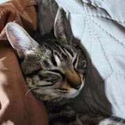 ヒメ日記 2025/04/03 18:50 投稿 中尾（なかお） 熟女の風俗最終章 名古屋店