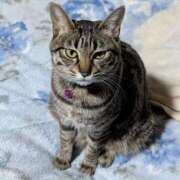 ヒメ日記 2025/04/11 22:51 投稿 中尾（なかお） 熟女の風俗最終章 名古屋店