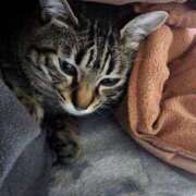 ヒメ日記 2025/05/11 01:49 投稿 中尾（なかお） 熟女の風俗最終章 名古屋店