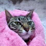 ヒメ日記 2025/05/18 19:23 投稿 中尾（なかお） 熟女の風俗最終章 名古屋店