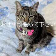 ヒメ日記 2025/05/19 07:05 投稿 中尾（なかお） 熟女の風俗最終章 名古屋店