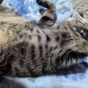 ヒメ日記 2025/05/26 18:20 投稿 中尾（なかお） 熟女の風俗最終章 名古屋店