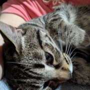 ヒメ日記 2025/06/10 19:02 投稿 中尾（なかお） 熟女の風俗最終章 名古屋店