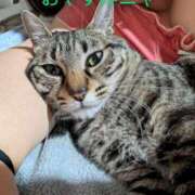 ヒメ日記 2025/06/29 01:52 投稿 中尾（なかお） 熟女の風俗最終章 名古屋店