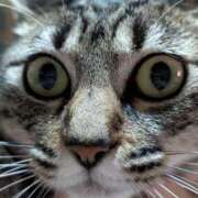 ヒメ日記 2025/08/12 07:52 投稿 中尾（なかお） 熟女の風俗最終章 名古屋店