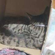 ヒメ日記 2025/08/17 21:43 投稿 中尾（なかお） 熟女の風俗最終章 名古屋店