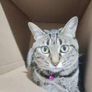 ヒメ日記 2025/08/31 12:03 投稿 中尾（なかお） 熟女の風俗最終章 名古屋店