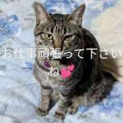 ヒメ日記 2025/09/04 09:02 投稿 中尾（なかお） 熟女の風俗最終章 名古屋店