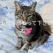 ヒメ日記 2025/09/22 06:22 投稿 中尾（なかお） 熟女の風俗最終章 名古屋店