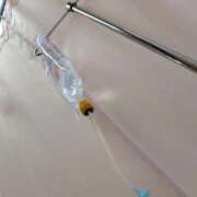 ヒメ日記 2025/09/27 12:55 投稿 中尾（なかお） 熟女の風俗最終章 名古屋店