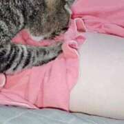 ヒメ日記 2025/10/19 07:02 投稿 中尾（なかお） 熟女の風俗最終章 名古屋店