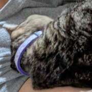 ヒメ日記 2025/11/22 20:02 投稿 中尾（なかお） 熟女の風俗最終章 名古屋店