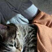 ヒメ日記 2025/11/26 19:31 投稿 中尾（なかお） 熟女の風俗最終章 名古屋店