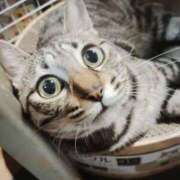 中尾（なかお） 今日は··· 熟女の風俗最終章 名古屋店