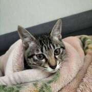 中尾（なかお） おはようございます😊 熟女の風俗最終章 名古屋店