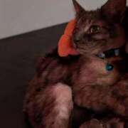 ヒメ日記 2026/02/22 06:52 投稿 中尾（なかお） 熟女の風俗最終章 名古屋店