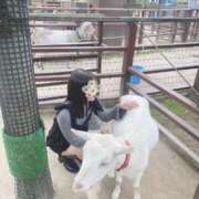 まり 🗣💬『お知らせ』 OL倶楽部