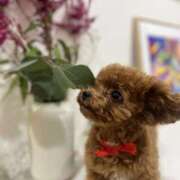 ヒメ日記 2025/10/09 12:15 投稿 伊月(いつき) 激やみ！痴女伝説　鶯谷店