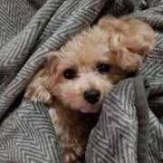 ヒメ日記 2026/01/27 14:15 投稿 伊月(いつき) 激やみ！痴女伝説　鶯谷店