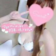 ヒメ日記 2025/05/02 05:46 投稿 さおり☆超可愛い清楚モデル若奥様 PREMIUM萌え可愛いチョコレート～全てのステージで感動の体験を～