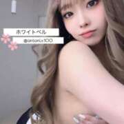 ヒメ日記 2025/03/10 07:02 投稿 あん ホワイトベル