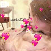 ヒメ日記 2025/03/27 13:52 投稿 あん ホワイトベル