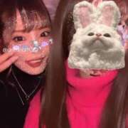 ヒメ日記 2025/04/06 05:42 投稿 あん ホワイトベル