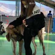 ヒメ日記 2025/04/27 02:42 投稿 あん ホワイトベル