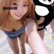 ヒメ日記 2025/06/29 15:02 投稿 あん ホワイトベル