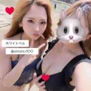 ヒメ日記 2025/07/03 12:07 投稿 あん ホワイトベル