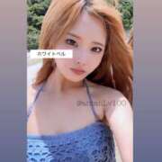 ヒメ日記 2025/08/01 14:02 投稿 あん ホワイトベル