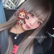 ヒメ日記 2025/08/22 13:22 投稿 あん ホワイトベル