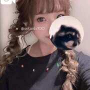 ヒメ日記 2025/08/26 18:05 投稿 あん ホワイトベル