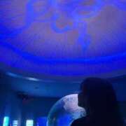 ヒメ日記 2025/10/02 16:35 投稿 あん ホワイトベル