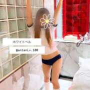 ヒメ日記 2025/10/14 03:13 投稿 あん ホワイトベル