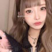 ヒメ日記 2025/11/19 18:51 投稿 あん ホワイトベル