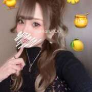 ヒメ日記 2025/12/02 23:17 投稿 あん ホワイトベル