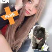 ヒメ日記 2025/12/11 23:18 投稿 あん ホワイトベル