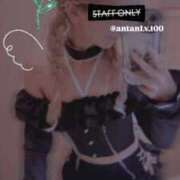 ヒメ日記 2026/01/16 22:02 投稿 あん ホワイトベル