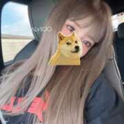 ヒメ日記 2026/01/21 23:01 投稿 あん ホワイトベル