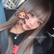 ヒメ日記 2026/02/14 18:22 投稿 あん ホワイトベル