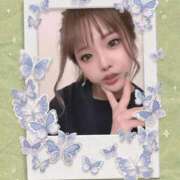 ヒメ日記 2026/02/20 16:22 投稿 あん ホワイトベル