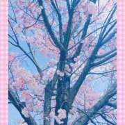 ヒメ日記 2026/04/10 15:46 投稿 さりな 人妻の楽園（博多）