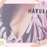 山内はるか お礼 セレブ嬉野