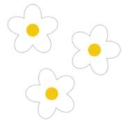 ヒメ日記 2025/04/20 09:58 投稿 ☆ゆうき☆業界未経験 ◆プラウディア◆AAA級素人娘在籍店